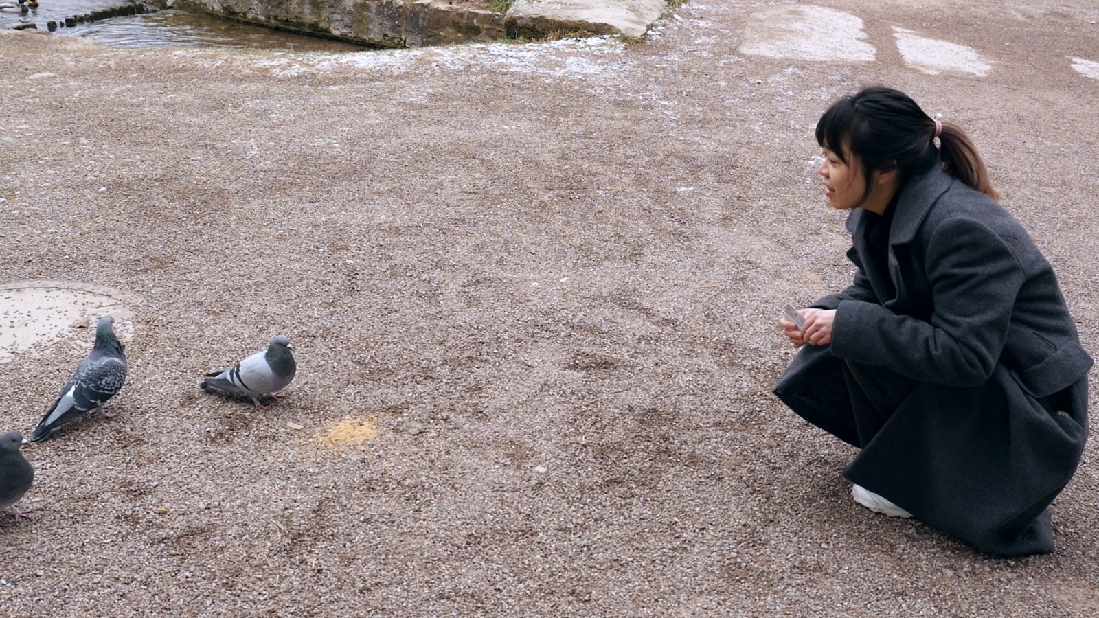 Tauben raus!, still 3